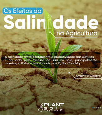 Os Efeitos da Salinidade na Agricultura